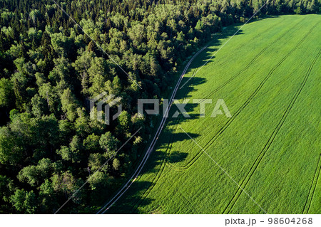 View from a high altitude of an agricultural field and dense forest View from a high altitude of an agricultural field and dense forest 98604268