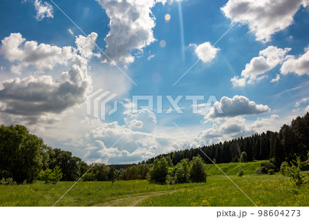 Beautiful blue sky with passing clouds over a bright green landscape Beautiful blue sky with passing clouds over a bright green landscape 98604273