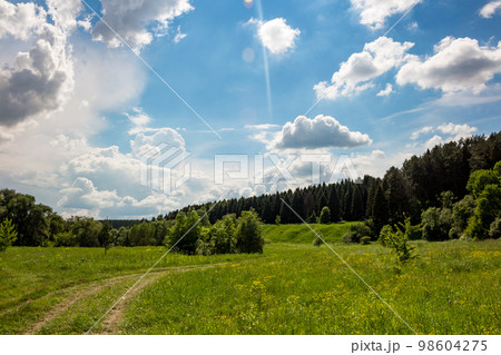 Beautiful blue sky with passing clouds over a bright green landscape Beautiful blue sky with passing clouds over a bright green landscape 98604275