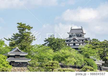 島根県松江市　晴天の国宝松江城 98604507