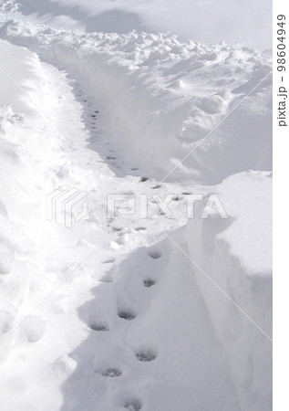 徒歩で往来可能なレベルまで雪を掻いた状態 徒歩で往来可能なレベルまで雪を掻いた状態 98604949