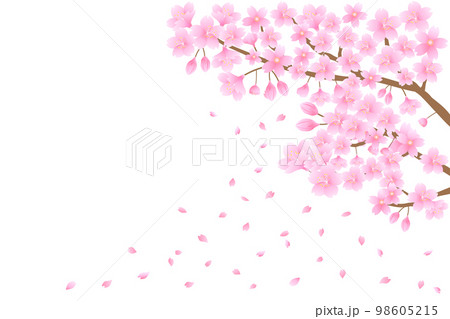 桜と舞い散る花びら 98605215