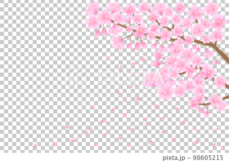 桜と舞い散る花びら 98605215