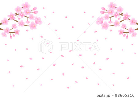 桜と舞い散る花びら 桜と舞い散る花びら 98605216