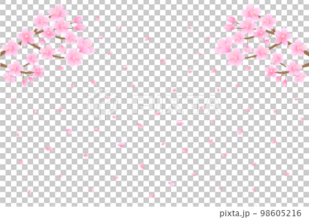 桜と舞い散る花びら 桜と舞い散る花びら 98605216