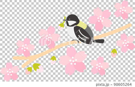 Spring cherry blossom (sakura) titmouse 98605264