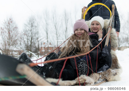 sled teamwork dog team cold running competition husky sleigh sledge winter alaska snow 98606046