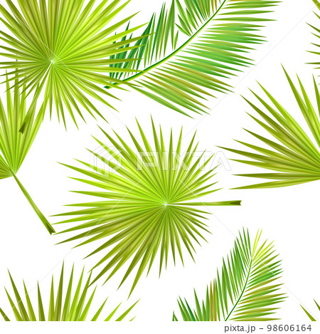 Green palm leaves. Vector illustration. tropical plants seamless pattern. Contemporary vector decoration art. Tropic chaos illustration. Green palm leaves. Vector illustration. tropical plants seamless pattern. Contemporary vector decoration art. Tropic chaos illustration. 98606164