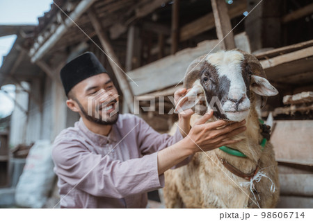 a moslem man squatting beside the goat's and stroking it's neck 98606714