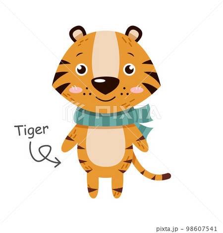 Tiger cartoon characters with clothes . Vector . 98607541