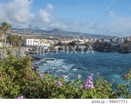 Views of the picturesque Alcala village with traditional architecture houses, small tranquil cove with beach and pier. Pink flowers in foreground, selective focus. Tenerife, Canary Islands, Spain Views of the picturesque Alcala village with traditional architecture houses, small tranquil cove with beach and pier. Pink flowers in foreground, selective focus. Tenerife, Canary Islands, Spain 98607751