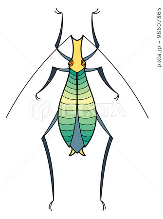 Green bug. Decorative natural insect in decorative ornate style 98607865