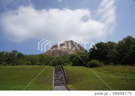 昭和新山 98608775