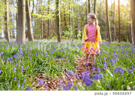 Child with bluebell flowers in spring forest 98608897