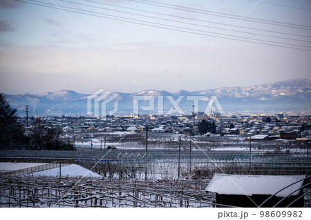 高台から望む市街地と果樹園 高台から望む市街地と果樹園 98609982