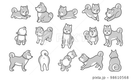 柴犬のベクターイラストのイラスト素材 [98610568] - PIXTA