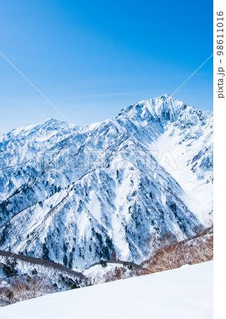 冬の遠見尾根トレッキング：爺ヶ岳・鹿島槍ヶ岳を望む 98611016
