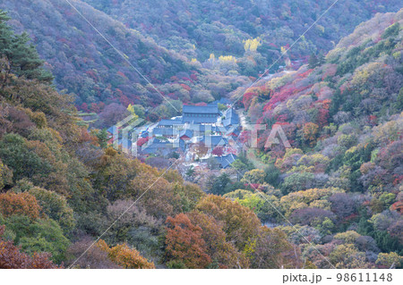 韓国 自然 風景 98611148