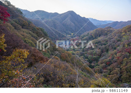 韓国 自然 風景 98611149