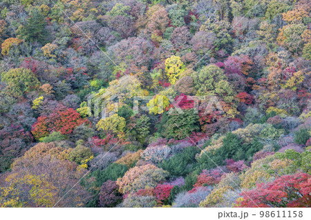 韓国 自然 風景 98611158