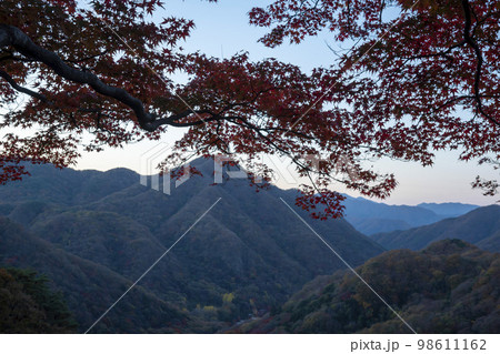 韓国 自然 風景 98611162