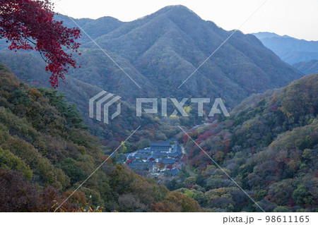 韓国 自然 風景 98611165