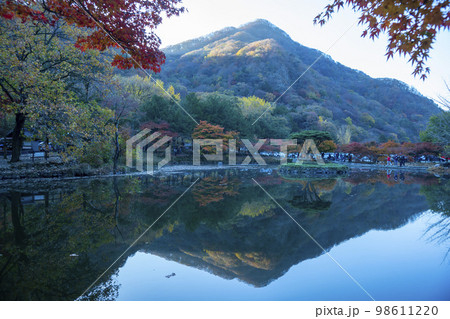韓国 自然 風景 98611220