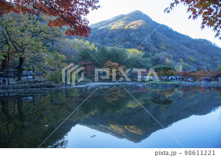 韓国 自然 風景 98611221
