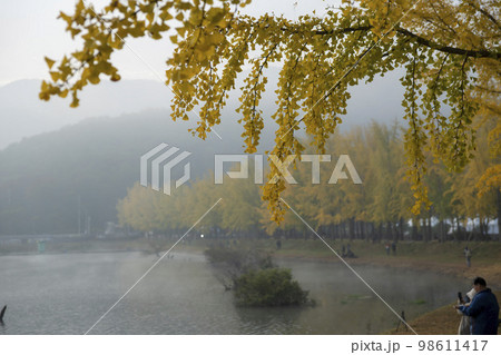 韓国 自然 風景 98611417