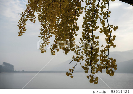 韓国 自然 風景 98611421