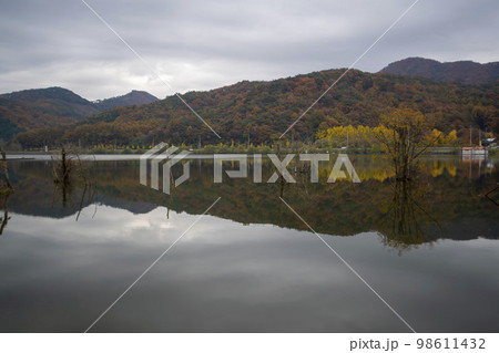 韓国 自然 風景 98611432