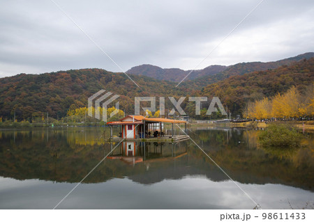 韓国 自然 風景 98611433