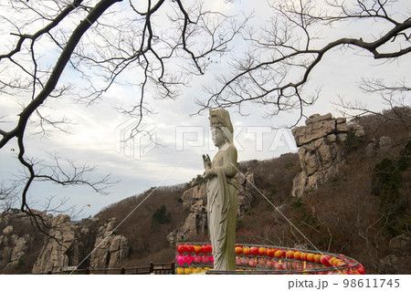 韓国 自然 風景 98611745