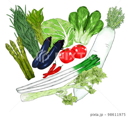 緑黄色野菜のイラスト素材セット 緑黄色野菜のイラスト素材セット 98611975