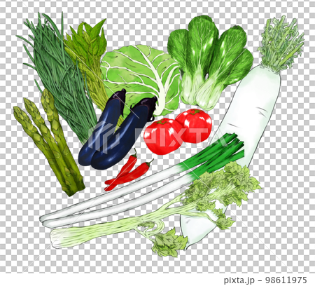 緑黄色野菜のイラスト素材セット 緑黄色野菜のイラスト素材セット 98611975