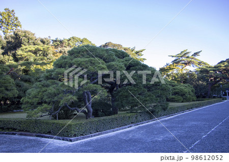 伊勢神宮 内宮 神苑 伊勢神宮 内宮 神苑 98612052