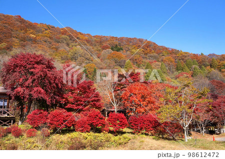 高倉山とわらび平森林公園の紅葉【群馬県高崎市倉渕町】の写真素材