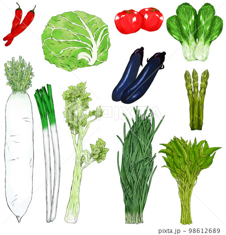 緑黄色野菜のイラスト素材 緑黄色野菜のイラスト素材 98612689