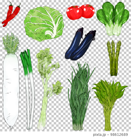 綠色和黃色蔬菜的插圖素材 98612689