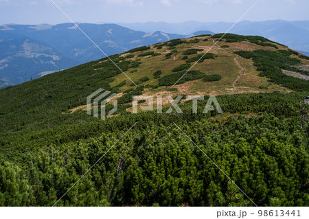 beautiful landscape mountains Carpathians in the Ukraine 98613441