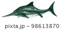 イクチオサウルス　ジュラ紀の魚竜類中もっとも有名なイルカ型 98613870