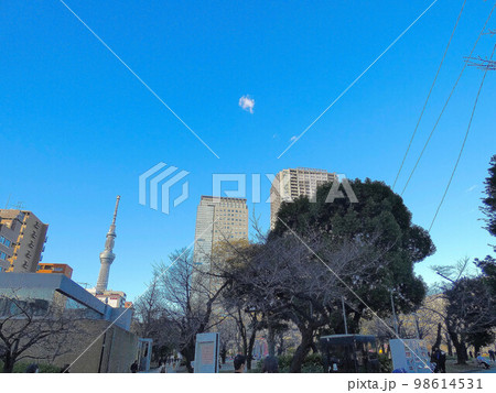 錦糸公園 東京スカイツリー 錦糸公園 東京スカイツリー 98614531