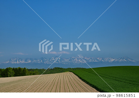 美瑛・丘の景色 美瑛・丘の景色 98615851