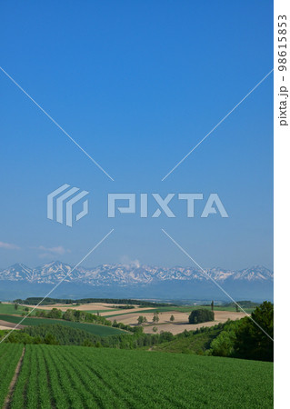 美瑛・丘の景色 美瑛・丘の景色 98615853