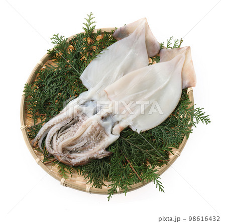 イカの一夜干し イカの一夜干し 98616432