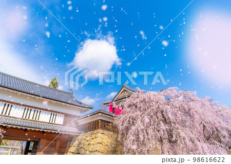 【桜吹雪イメージ】信州・上田城の桜と桜吹雪【長野県】 98616622