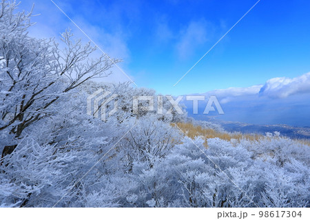 霧氷の鶴見岳より別府市街を望む 98617304