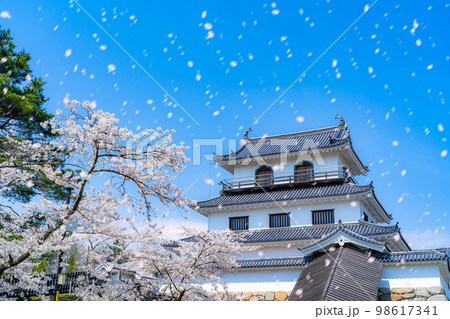 【桜吹雪素材】春の白石城と桜吹雪【宮城県】 【桜吹雪素材】春の白石城と桜吹雪【宮城県】 98617341