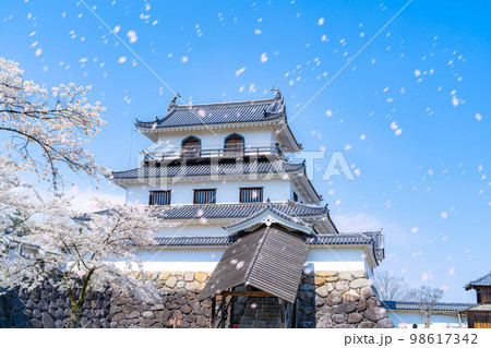 【桜吹雪素材】春の白石城と桜吹雪【宮城県】 【桜吹雪素材】春の白石城と桜吹雪【宮城県】 98617342