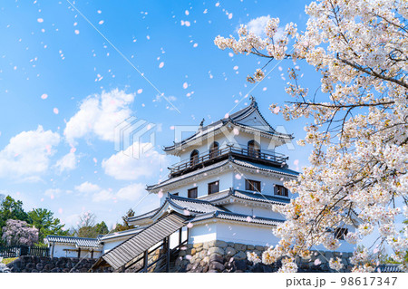 【桜吹雪素材】春の白石城と桜吹雪【宮城県】 98617347